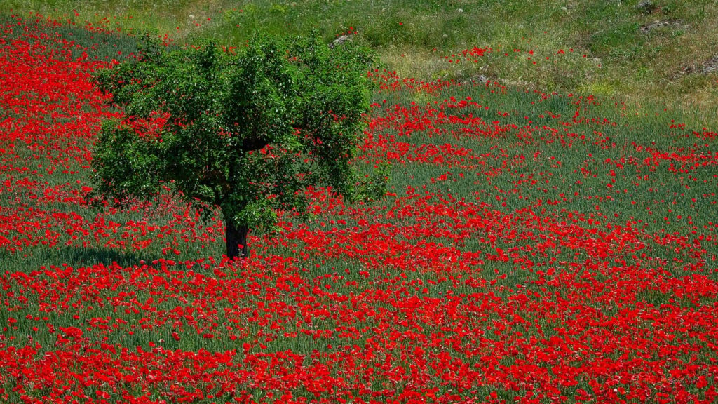Extremadura en autocaravana y camper: la guía definitiva